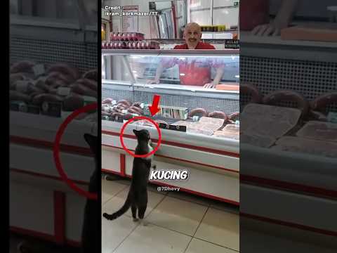 Ketika Persahabatan Berakhir di Toko Daging #shorts