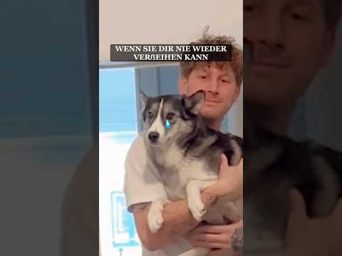 wenn sie dir nie wieder verรeihen kann ๐ฅฒ