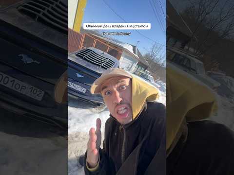 Соскучились по Мустангу ?