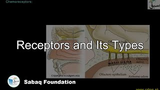 Receptors and Its Types