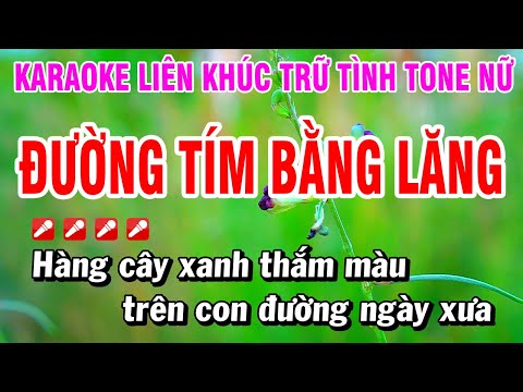 Karaoke Liên Khúc Trữ Tình Tone Nữ Nhạc Sống 2025 – Đường Tím Bằng Lăng | Hoài Phong Organ