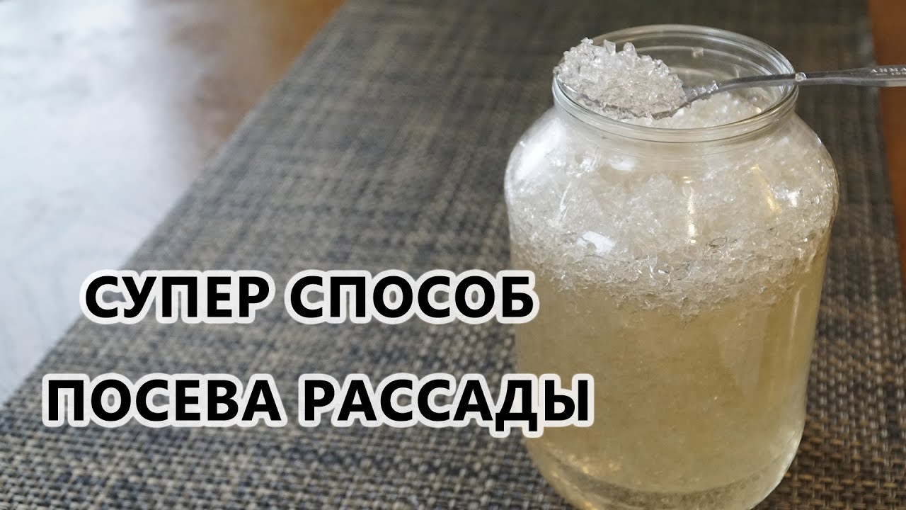 Супер способ посева после которого рассада растет не по дням, а по часам!