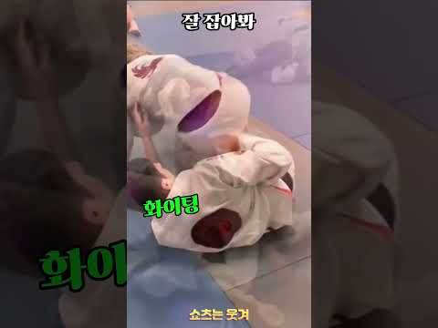 황당하게 웃긴 순간 57탄
