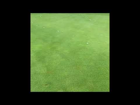 Ian's update from the course. - YouTube