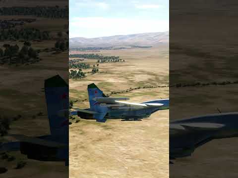 AIM-7 Sparrow vs SU-27 | BVR | DCS