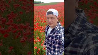 Те саме макове поле зі S.T.A.L.K.E.R. 2 🥰