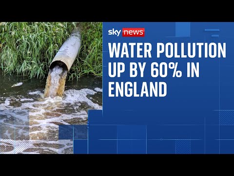 YouTube video thumbnail: Serious Water Pollution Incidents are up by 60% in England