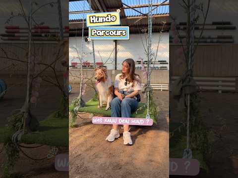 WAS kann dein Hund? #ytshorts