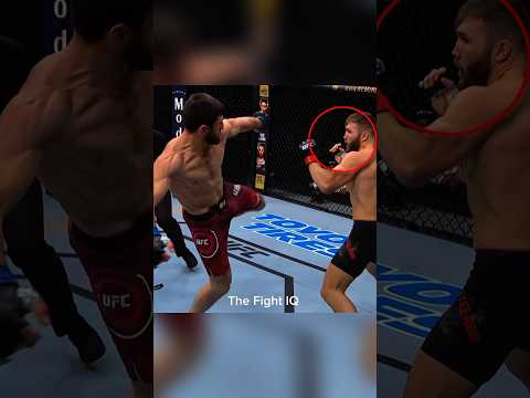 Magomed Ankalaev Vs Ion Cutelava Controversy Solved!