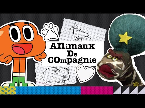 Les animaux de compagnie | Chaussettes Show |  @cartoonnetworkFR