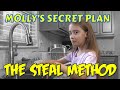 Exploring the STEAL Method for Character Analysis