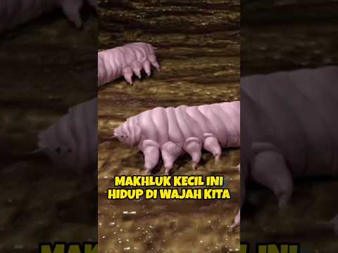Makhluk kecil ini hidup di wajah kita😱 #shortsfeed