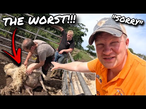 THE WORLD'S WORST ANIMALS TO DO... BUT IT'S DONE PROPERLY!!