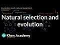 Exploring Natural Selection and Evolution Mechanisms