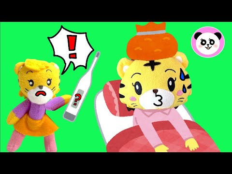 ようちえんをズルやすみしたいはなちゃん しまじろう | しつけ 子育て 動画 | Poco Channel