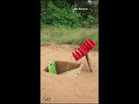 Creative Bird Trap Technique | Underground Birds Trap #shorts