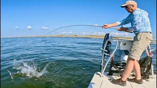 A Million Trout on the Beach!