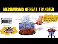 Exploring Heat Transfer Methods in Cooking