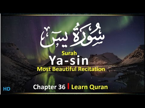 Surah Ya-Sin | Beautiful Recitation | By Zain Abu Kautsar