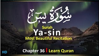 Surah Ya-Sin | Beautiful Recitation | By Zain Abu Kautsar