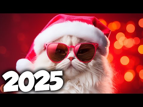 MÚSICA ELETRÔNICA 2025 🔥 AS MÚSICAS ELETRÔNICAS MAIS TOCADAS 🔥 Alok, Vintage Culture & David Guetta