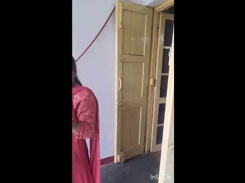 Funny videos