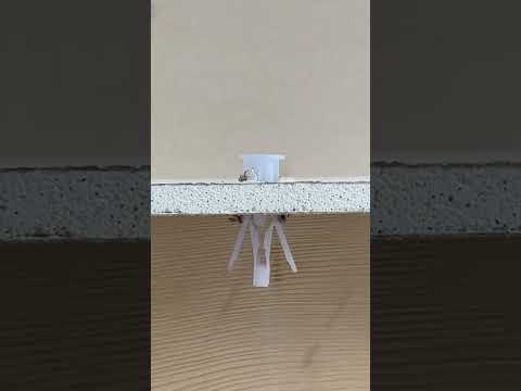 Tip for Using Screws in Drywall the Right Way. #short