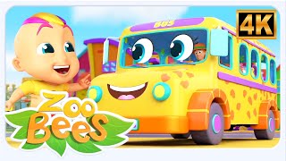 Zoobees Canción de las ruedas del autobús con amigas de animales