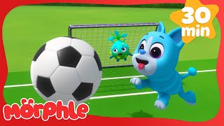 Pet Soccer Game with Cute Animals! | Morphle Magic Pet Cartoons for Kids