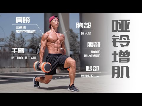 【告別瘦弱】30分鐘啞鈴全身增肌#啞鈴#增肌#增肌減脂#減肥