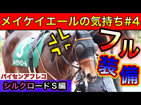 メイケイエールの気持ち 第4弾【馬の気持ちシリーズ】池添謙一 シルクロードS編【競馬】パイセンの競馬チャンネル