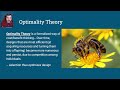 Optimal Foraging Theory Concepts