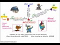 Conversions in Chemistry: Moles and Mass