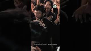 Vichora Qismat Ch Jadon Likhya - Shahdat Imam Raza (a)  Matami Sangat Shaheed e Kufa  alnaqvi (2026)