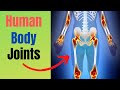 Understanding Synovial Joints
