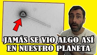Descubren un Misterioso SER VIVO que NO Parece de la Tierra