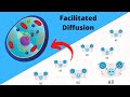 Cell Membrane Transport Mechanisms