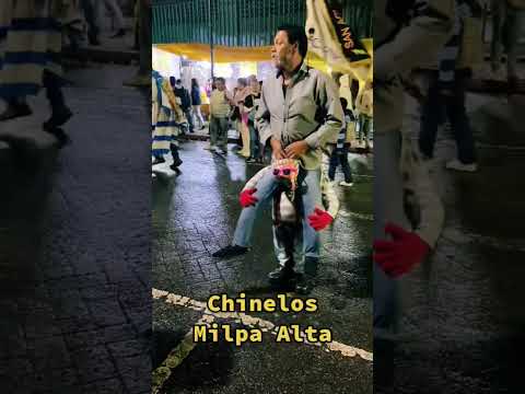jaja Caballo 😱🤣