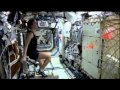 ECLSS Systems and Challenges