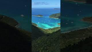 St John Brewers - Virgin Island Views - Made in the USVI