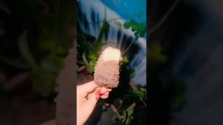 viral volcano ice cream #ytshorts #food #ytshortsvideo #foodie