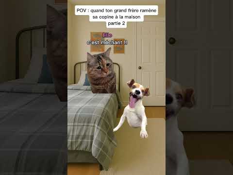 POV : quand ton grand frère ramène sa copine à la maison partie 2 #humour #drole #catmemes #pov