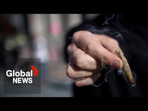 YouTube video thumbnail: What we Know About the Link Between Cannabis and Psychosis