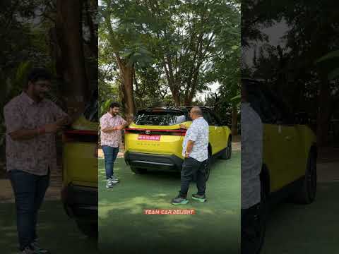 Harrier Positives Negatives - Asli Sach