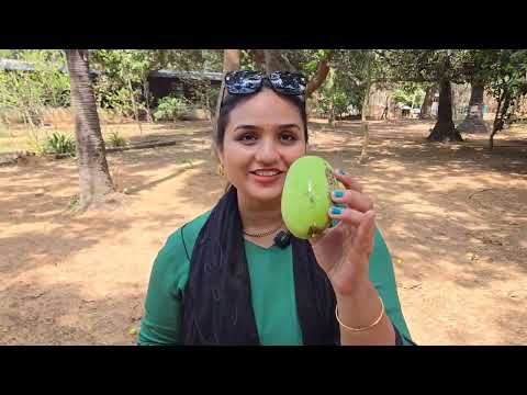 Went to Farm to See Whats Happenning • Tour • Vlog • Telugu
