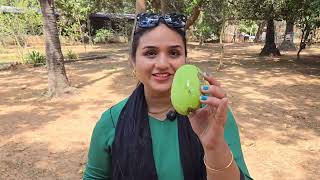 Went to Farm to See Whats Happenning • Tour • Vlog • Telugu