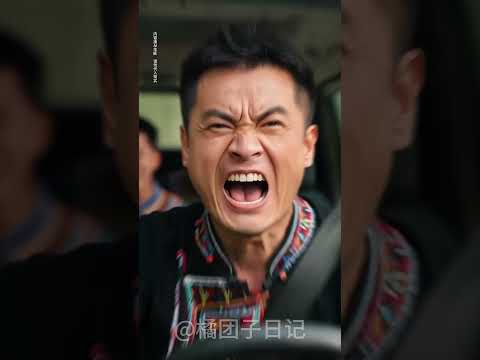 This Happens to Animals Every Day—We Can’t Keep Looking Away.