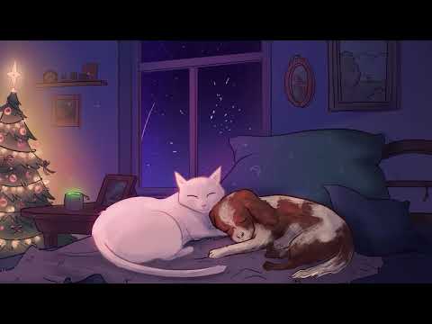 Lofi Mix | 8 Hours of Relaxing Music for Pets 🐾 | Calming Sounds to Reduce Anxiety in Dogs and Cats