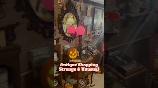 Antique Shopping with the Strange & Unusual. #vintagehorror