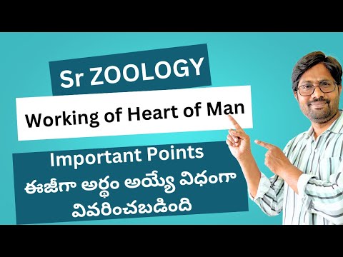 Working of Heart of Man Most Important Points || Inter Second Year Zoology